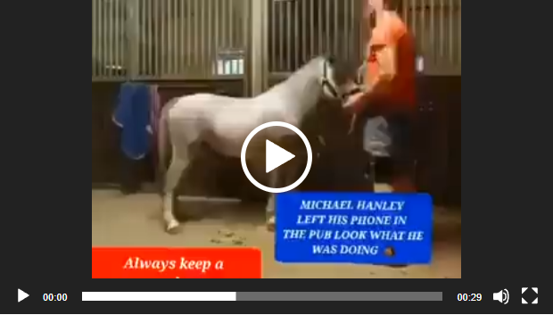 https://deepnet2.blogspot.com/2023/12/michael-hanley-horse-video-mr-hands.html