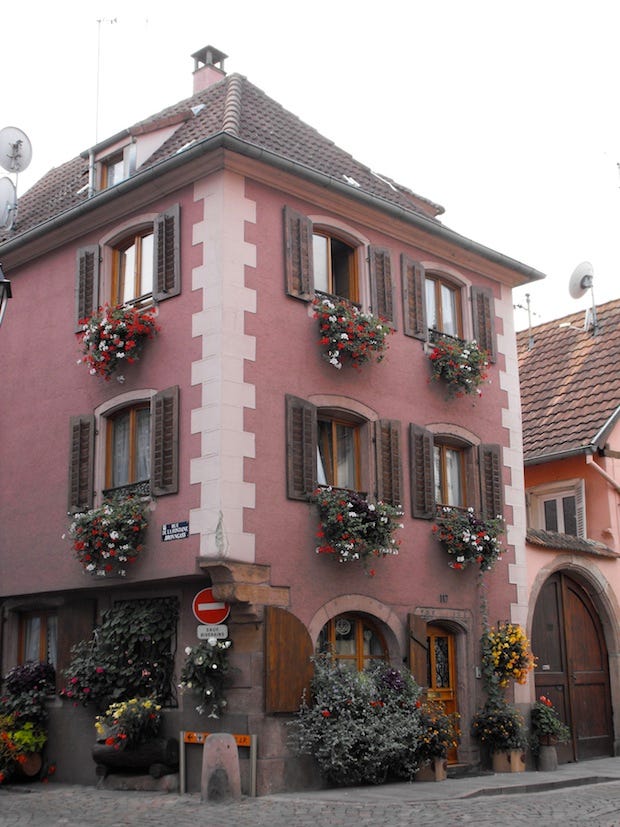 Flower-laden building in Eguisheim, France