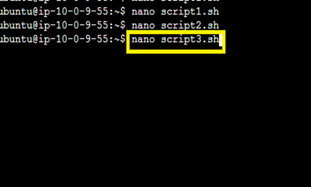 Create the script3.sh file