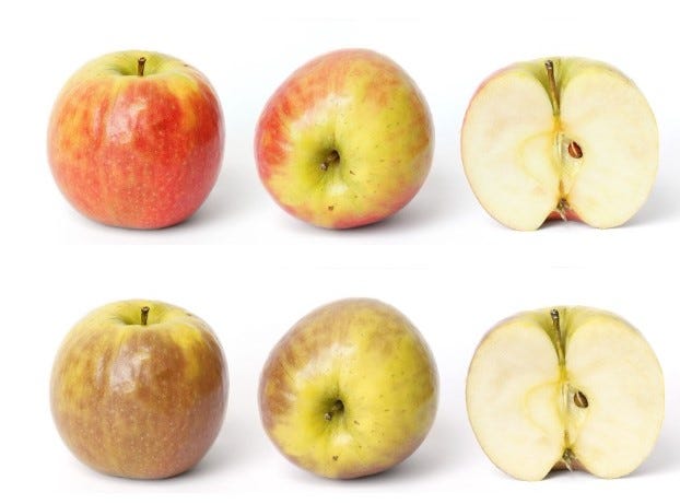 Upper row: Three photos of apples, lower row: the same photo with a colour blindness filter, the colours appear changed. Source: https://www.color-blindness.com/coblis-color-blindness-simulator/