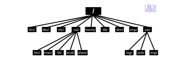 LINUX FORENSIC