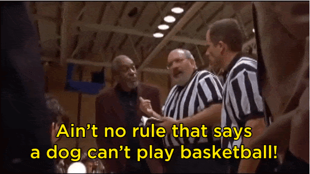 A gif from Airbud, with a referee saying “ain’t no rule that says a dog can’t play basketball!”