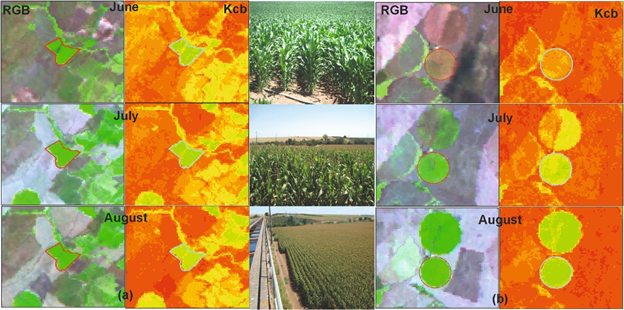 Satellite Image analysis