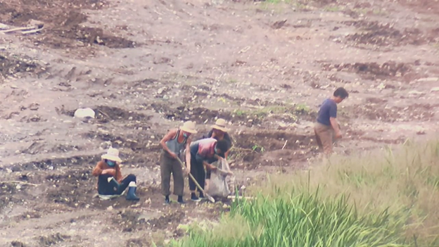 North Korean Farmers working the fields