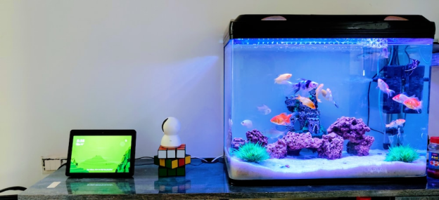 An aquarium on a desk
