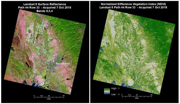 An Image from Landsat 8 Satellite