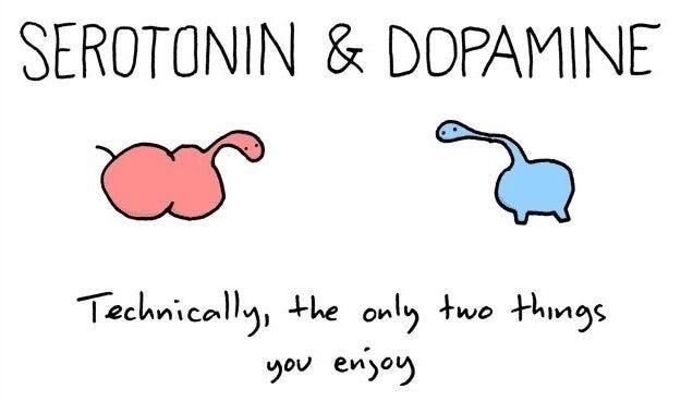 A humourous picture showing two hormones, Serontonin and Dopamine saying : Technically the only two things you enjoy.
