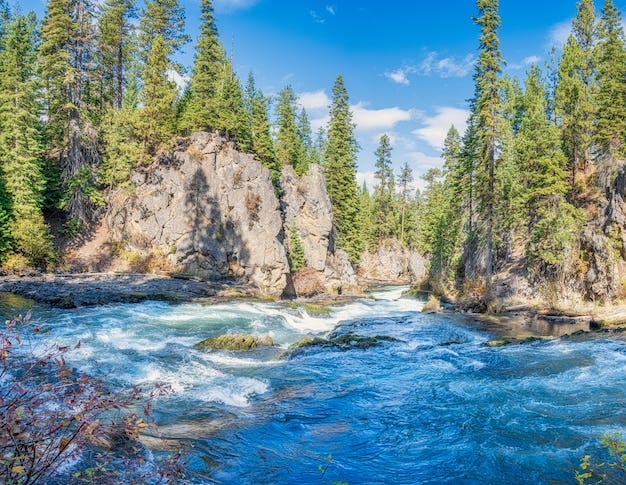 Yellowstone National Park, Wyoming