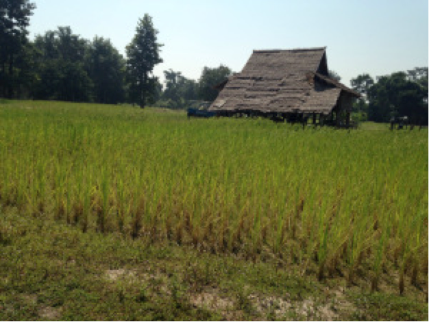 barn_field