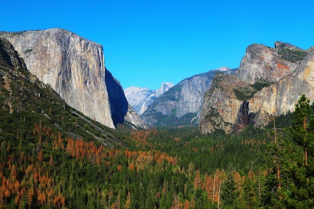 Yosemite National Park, California