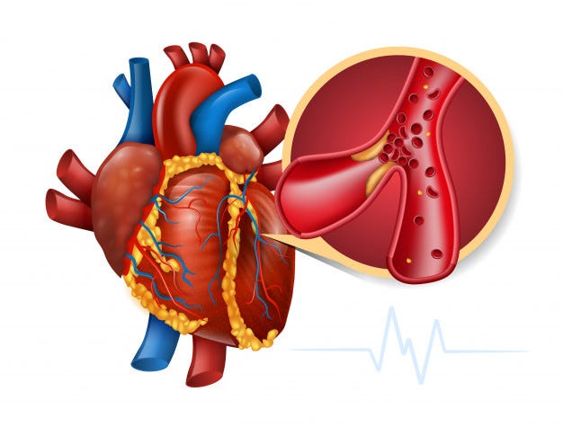 sistema cardiovacular