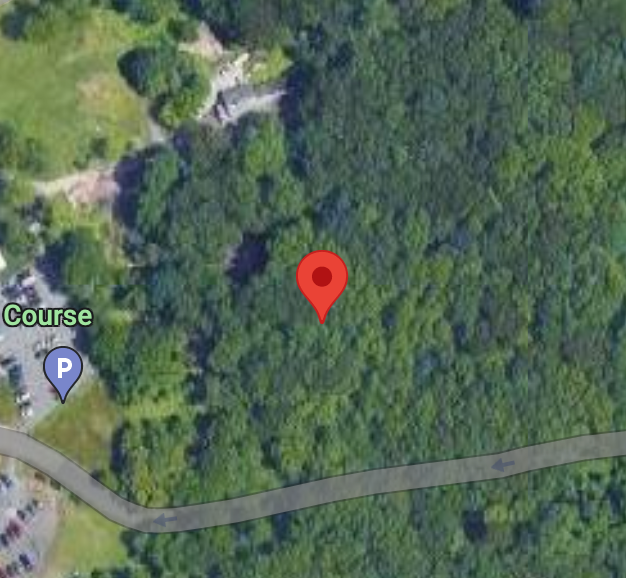 A Google Maps pin sits on a map showing woods next to a golf course and a road