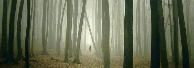Figure in dark forest