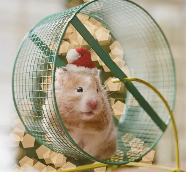 a hamster in a wheel