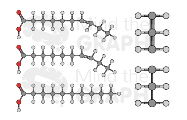 fatty_acid_scientifc_illustrations