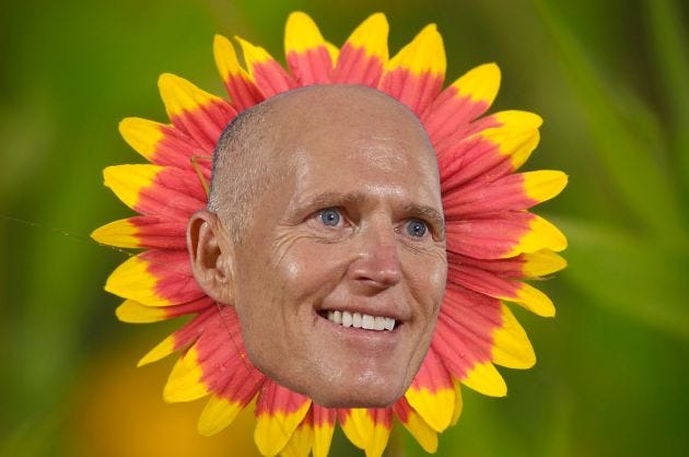 Image result for rick scott