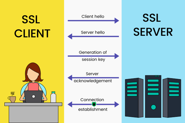 Understanding SSL — Secure Socket Layer | 2023 | LaptrinhX