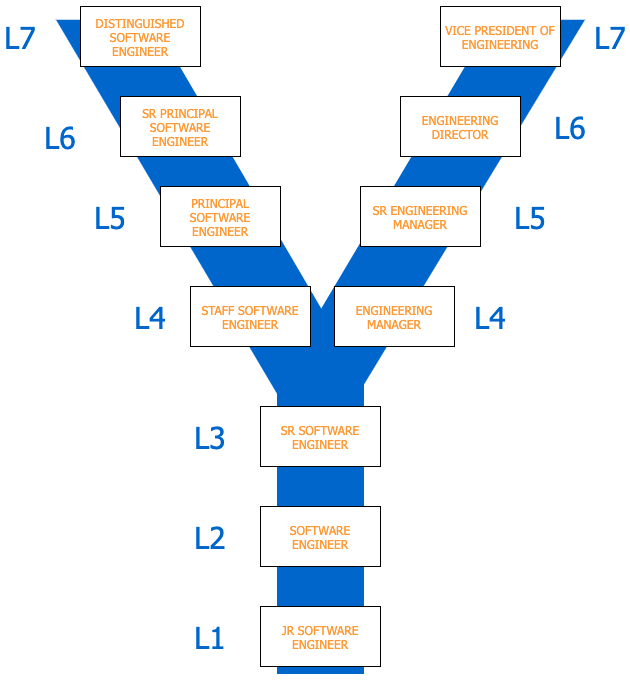 Representação gráfica da nossa carreira em Y, com a base comum e os braços técnicos e gerenciais da carreira