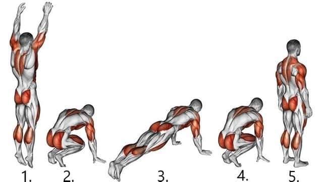 Plyometric exercises: burpees image