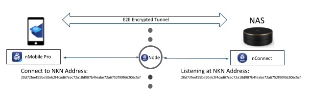 Figure 2: NKN Address used to establish E2E encryption