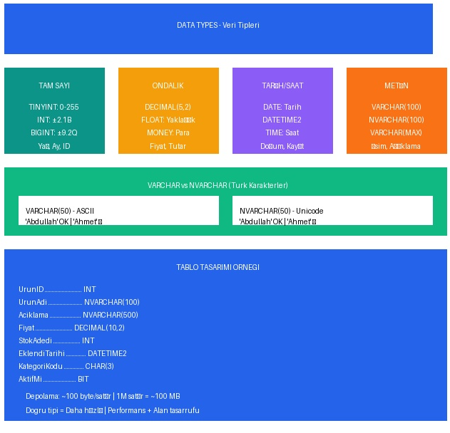 Bölüm 8: DATA TYPES (Veri Tipleri)