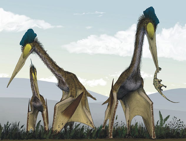 Just How Big was the Largest Flying Dinosaur?  Huge.