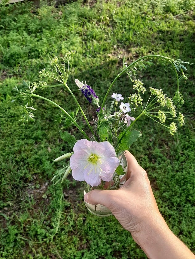 A collection of newly-picked wildflowers of different shapes and sizes in front of mowed lawn.