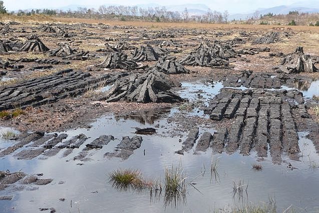 Section of Kerry Peat Bog which was cut by hand, as Moore and Foley would have done.