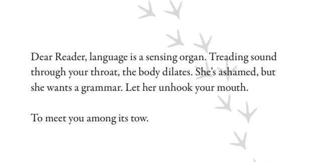 A section of poetry from [ Displacements ], which reads: “Dear Reader, language is a sensing organ. Treading sound through your throat, the body dilates. She’s ashamed, but she wants a grammar. Let her unhook your mouth. To meet you among its tow.”