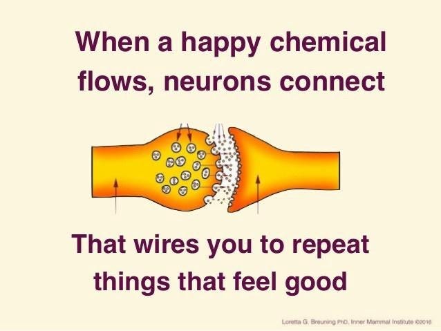 A diagram of neurons showing when happy chemicals flows, neurons connect that wires you to repeat things that feel good
