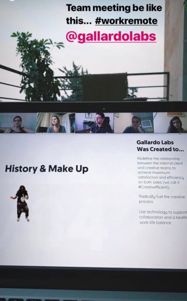 Screen grab of actual Gallardo Labs zoom meeting