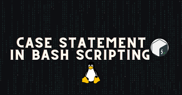 Case Statements in Bash Scripting | 2022