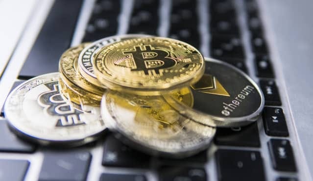 The Metamaskinsure.com Collapse: A Masterclass in High-Yield Risk and the Psychology of the “Exit”