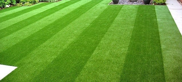 artificial grass