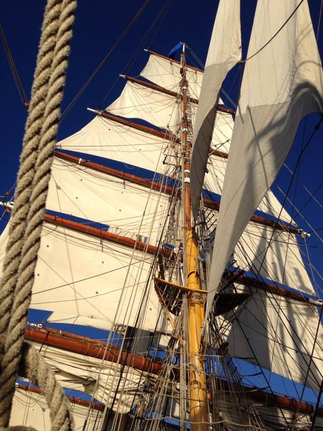 Image of bark Europa under full sail — it is a tall ship and the rigging and ropes are clearly in view. Lesley Dewar sailed on bark Europa in 2013, while she was recovering from surgery and chemotherapy treatment for breast cancer.