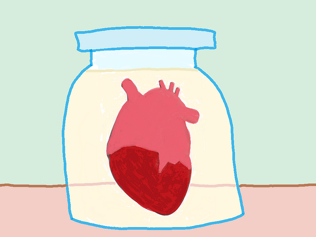 A human heart in a jar