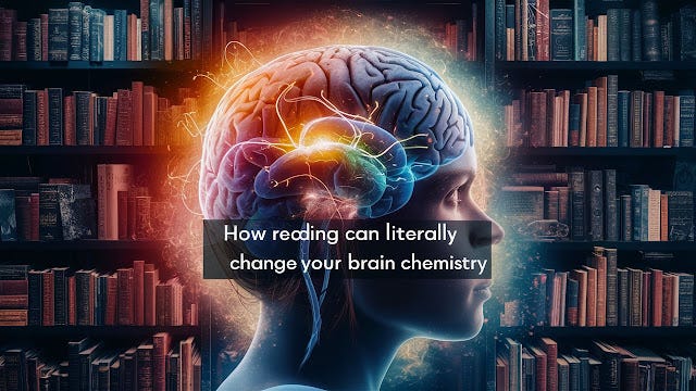 How Reading Can Literally Change Your Brain Chemistry