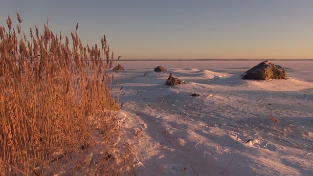 Frozen sea