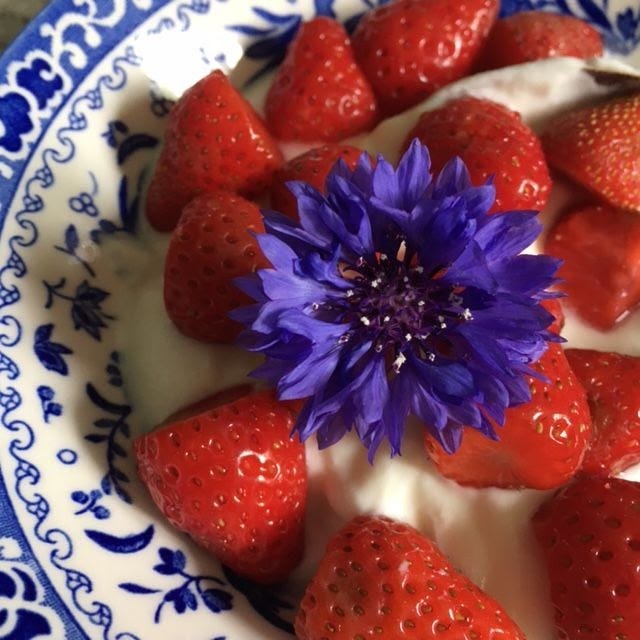 Strawberries and yoghurt with a blue cornflower garnish in a blue and white bowl.