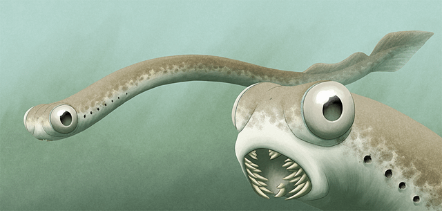 Artistic depiction of Conodonts