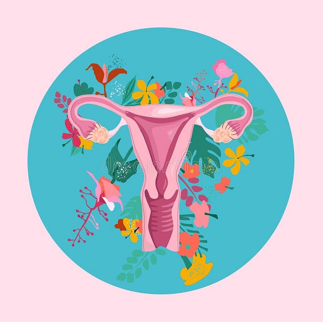 Uterus