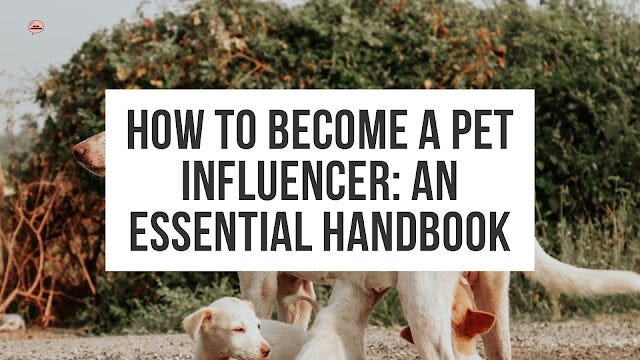 The Social Petworker: Inspiring Pet Influencer Success: How to Become a Pet Influencer Handbook