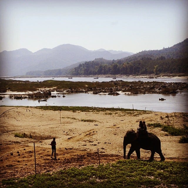 Teacher in Laos Hanging Out With Elephants