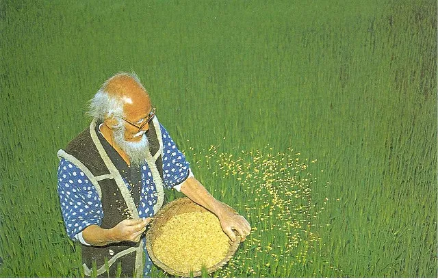 The Perennial and the Annual: What DeFi Can Learn from Nature About Lasting Returns