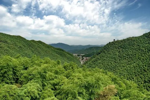 Mountains with forests