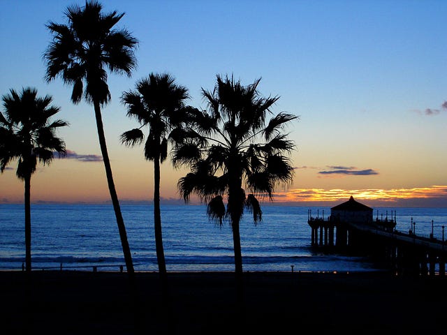 Palm Trees_Pier_Sunset