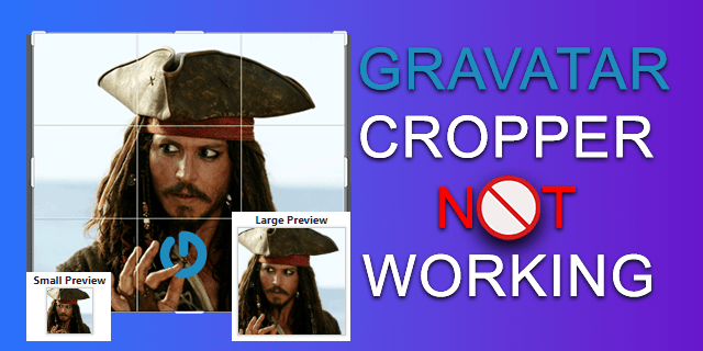 How To Fix the Gravatar Cropper Not Working