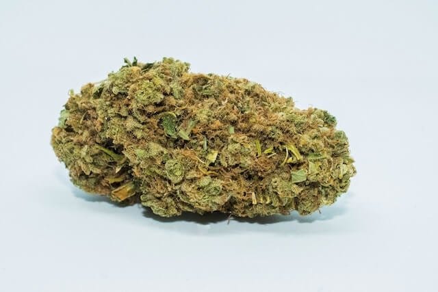 Super Silver Haze cannabis strain