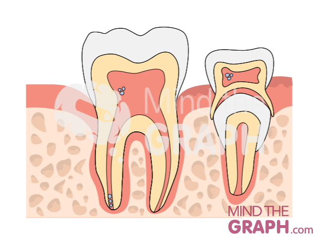 stem cells odontology