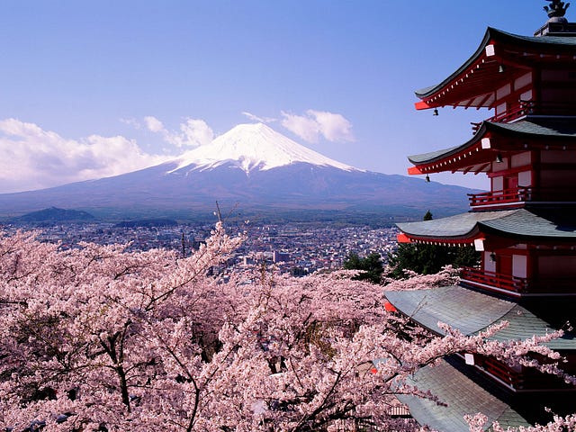 Cherry-Blossoms-And-Mount-Fuji-Japan-1-1600x1200